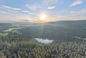 Glen Tanar Estate spans 25,000 acres of ancient Caledonian pine forests.