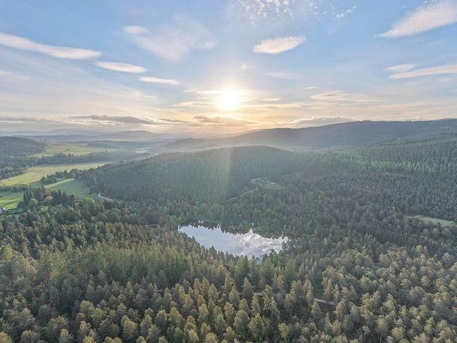 A hidden gem nestled within the Cairngorms National Park in Royal Deeside, Scotland, Glen Tanar Estate spans 25,000 acres of ancient Caledonian pine forests.