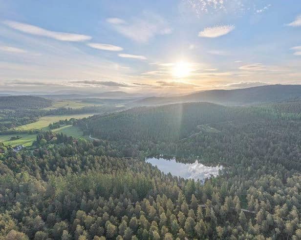 Glen Tanar Estate spans 25,000 acres of ancient Caledonian pine forests.