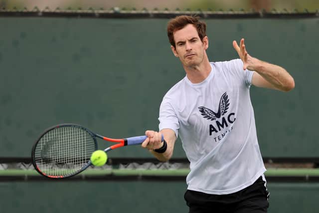 Andy Murray plays a forehand during a practice session at the BNP Paribas Open at the Indian Wells Tennis Garden, California.  (Photo by Clive Brunskill/Getty Images)