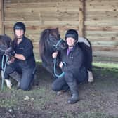 The Society has raised £21,050 to go towards repairing its horse shelters. (Pic: Scottish SPCA)