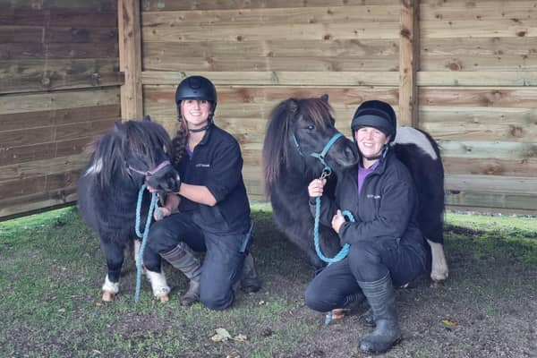 The Society has raised £21,050 to go towards repairing its horse shelters. (Pic: Scottish SPCA)