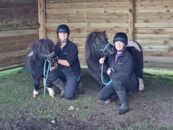 The Society has raised £21,050 to go towards repairing its horse shelters. (Pic: Scottish SPCA)