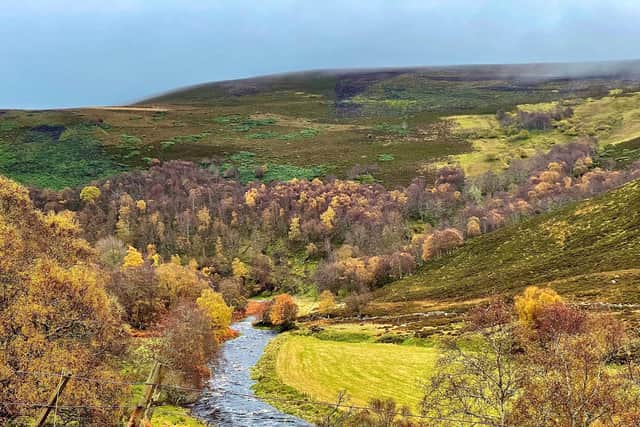 The River Deveron, famed for its wild salmon and an important haven for wildlife, runs through the Cabrach – a sparsely populated area in Moray, on the edge of the Cairngorms National Park