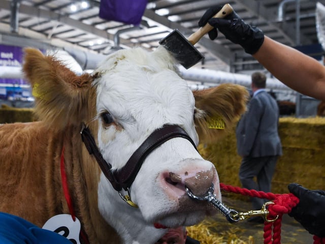 The Royal Highland Show Day 1