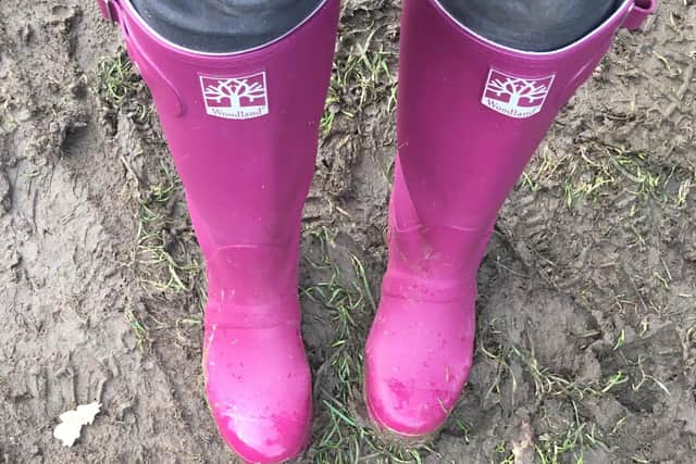 Jillian Pitt sent in this picture, writing: "This pair of wellies have kept my spirits up during this year. I have happily trudged through mud and watched the seasons change."