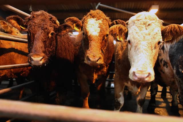 Better manure management and selective breeding of livestock could reduce methane emissions from agriculture (Picture: Jeff J Mitchell/Getty Images)