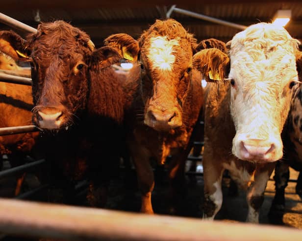 Better manure management and selective breeding of livestock could reduce methane emissions from agriculture (Picture: Jeff J Mitchell/Getty Images)