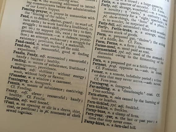 More pupils are choosing to learn Scots with rising numbers using the language to complete assessments. PIC: Contributed.