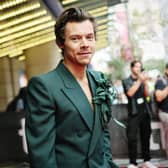 Harry Styles attends the My Policeman premiere during the 2022 Toronto International Film Festival.