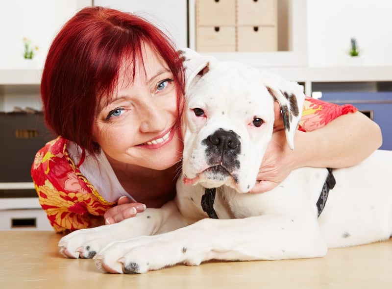 They may occasionally look a little grumpy, but Boxers are known for making unusually deep and strong bonds with their family. It means that they demand more attention and affection than other dogs, but mirror it back tenfold.