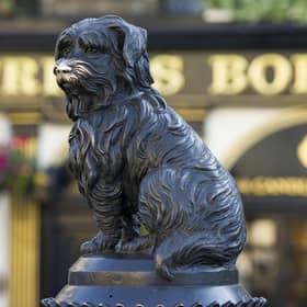 Greyfriars Bobby Pic: Ian Rutherford