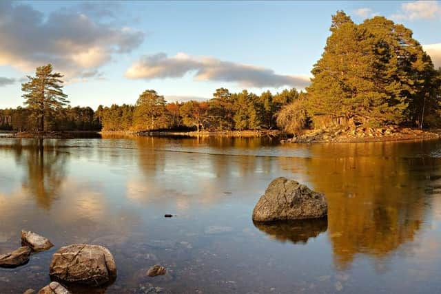 Scots are being warned not to waste water as an 'early warning' of possible summer shortages is issued. Picture: Getty Images