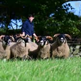 The school is teaching pupils to buy and sell meat.