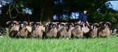 The school is teaching pupils to buy and sell meat.