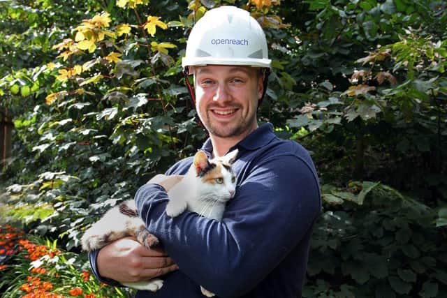 Tia the cat, which sneaked into Openreach engineer Doug Craig's van as he loaded up in Oban, Argyll and Bute, early one morning, and hid in the back for the three-hour ferry crossing to Arinagour on Coll in the Inner Hebrides. Photo: Openreach/PA Wire