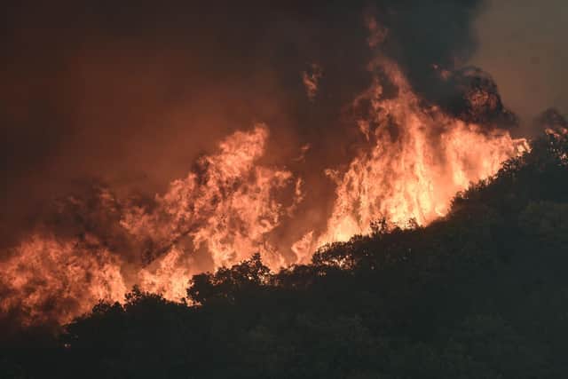 Few will have missed terrifying footage of deadly wildfires which have been raging across Europe, Canada and the US, turning towns, villages and landscapes to cinders and forcing local residents and holiday-makers to flee for their lives. Picture: Getty Images
