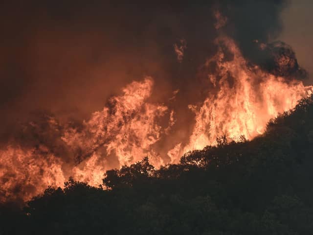 Few will have missed terrifying footage of deadly wildfires which have been raging across Europe, Canada and the US, turning towns, villages and landscapes to cinders and forcing local residents and holiday-makers to flee for their lives. Picture: Getty Images