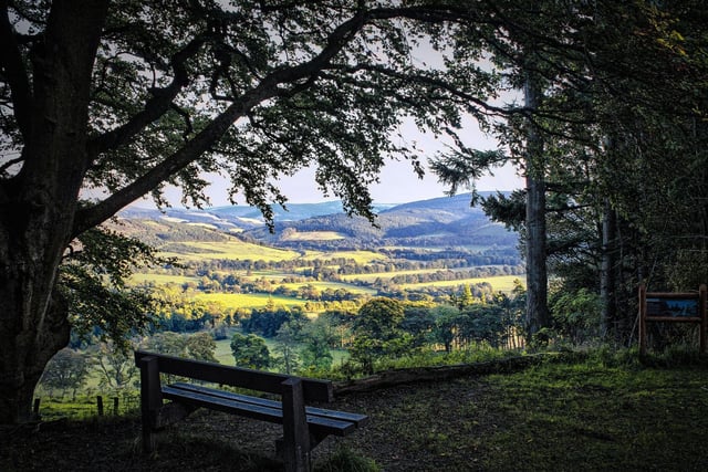 If you are looking for a walk in the woods then Glentress Forest, just north of Innerleithen, is hard to beat. Lovely all year round, it really comes into its own in autumn as the leaves turn gold, yellow and orange. There are also mountain boking routes if you are feeling active,