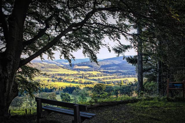 Glentress Forest, just north of Innerleithen, will host a number of the 2023 UCI Mountain Biking World Championships. 