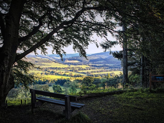 If you are looking for a walk in the woods then Glentress Forest, just north of Innerleithen, is hard to beat. Lovely all year round, it really comes into its own in autumn as the leaves turn gold, yellow and orange. There are also mountain boking routes if you are feeling active,