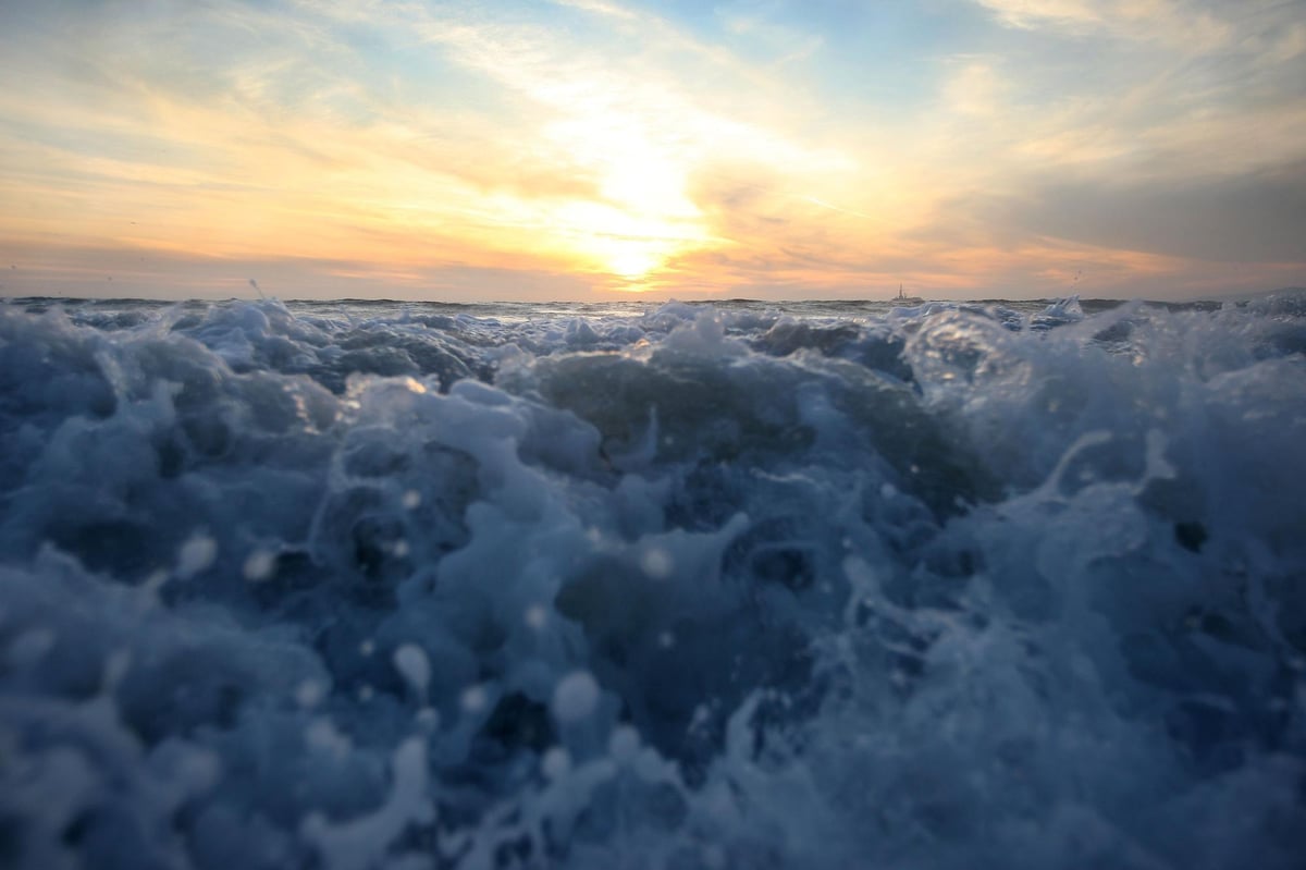 It's responsible for every second breath of oxygen we take. So why do we have a blindspot for the sea? – Nicholas Owens