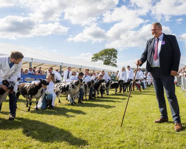 Royal Highland Show highlights – learn to bake, milk a cow or watch muckle big coos!