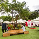 George Square Gardens has reopened as a festival venue for the summer.