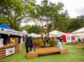 George Square Gardens has reopened as a festival venue for the summer.
