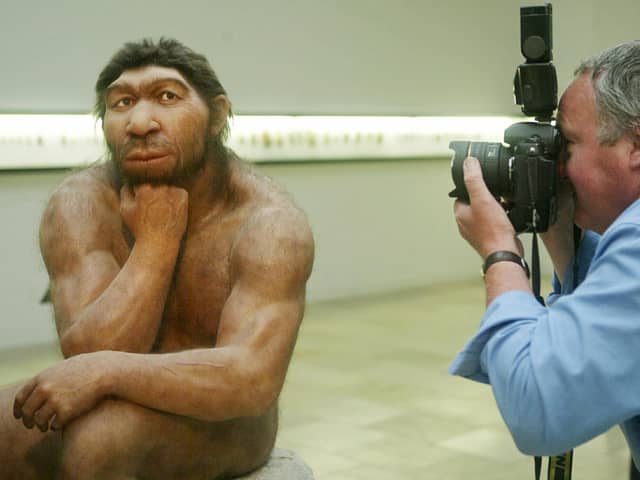Neanderthals had a sophisticated food culture, not unlike hipsters (Picture: Sebastian Willnow/DDP/AFP via Getty Images)
