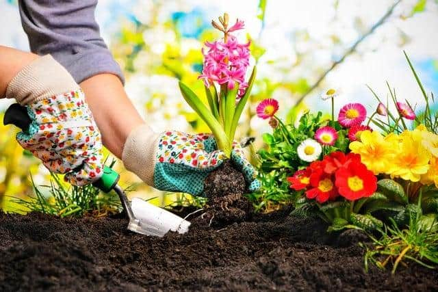 Gardening has become popular during lockdown.