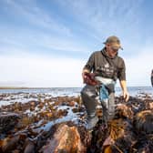 The firm said it was looking forward to working with its seaweed harvesters from Alba Mari in Fife, as well as the growing number of farmers on Scotland’s west coast and beyond.