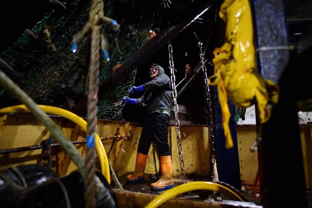 Fishing boat trawlerman Nick Hampshire prepares the net of the stern trawler 'Nicola Anne' for the first trawl of the day. Picture: Ben Stansall/AFP via Getty Images