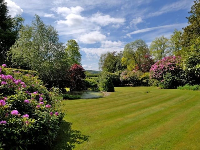 Front garden.