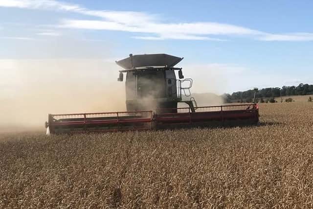 Harvest report painted a picture of mixed yields, with winter wheat and barley largely having been of high quality while many oilseed rape crops had disappointed.