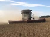 Harvest report painted a picture of mixed yields, with winter wheat and barley largely having been of high quality while many oilseed rape crops had disappointed.