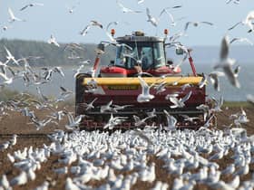 The use of heavy farm vehicles is compacting the soil, so that water flashes off rather than soaking in (Picture: Sean Gallup/Getty Images)