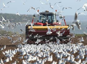 The use of heavy farm vehicles is compacting the soil, so that water flashes off rather than soaking in (Picture: Sean Gallup/Getty Images)