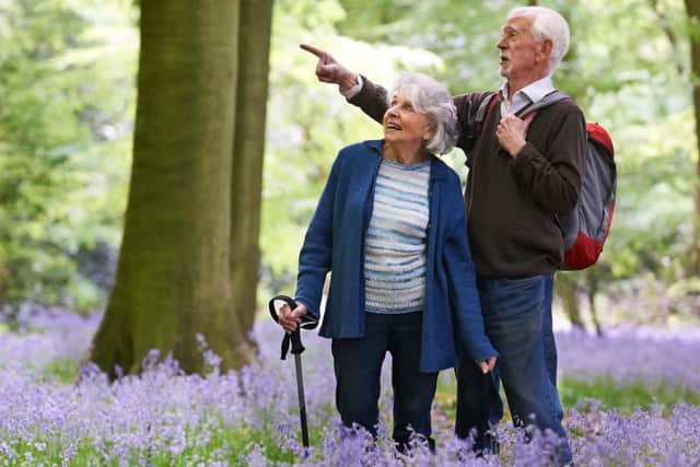 The gender pensions gap is estimated to be around 37.9 per cent (Picture: stock.adobe.com)