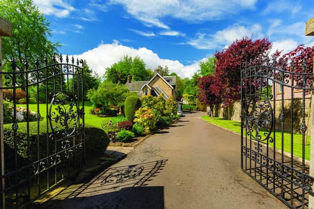Ravelston Lea, Edinburgh. Image: Angus Behm