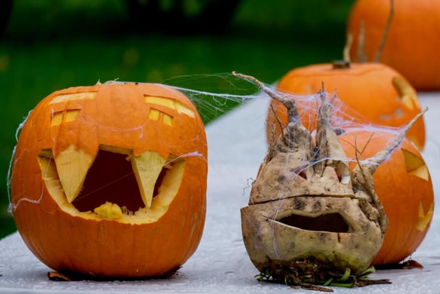 It is said that turnips will rot about 1 week after purchase but a pumpkin can last at least a month at room temperature, while this sounds like a disadvantage imagine the spooky face of a turnip while its features are drooping down from rotting - it's all part of the aesthetic!