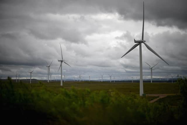There are trade-offs between wind farms and nature that need to be addressed (Picture: Jeff J Mitchell/Getty Images)