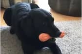 Andrew Cotter's videos have reached over six million views