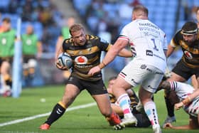 Wasps' Tom Cruse, formerly of Wasps, has signed a short-term deal with Edinburgh.