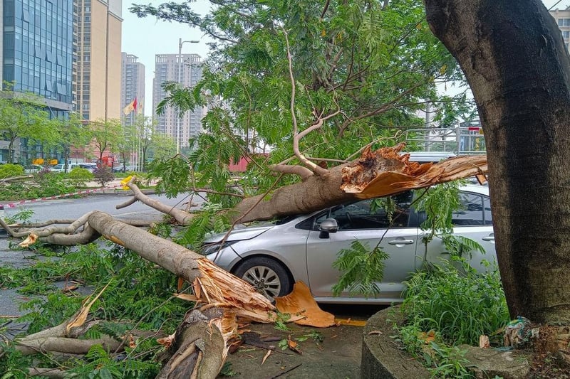 Trees fall on a car following heavy rains in Qingyuan city, in China's southern Guangdong province.