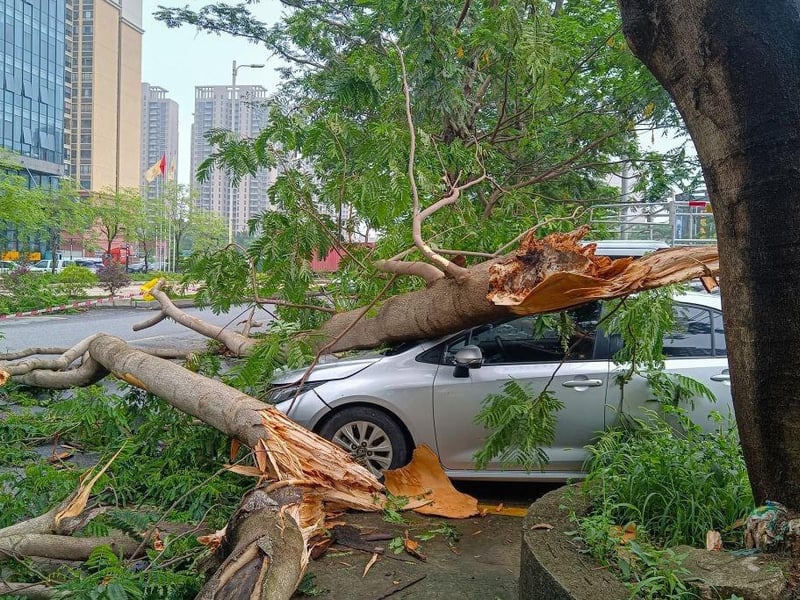 Trees fall on a car following heavy rains in Qingyuan city, in China's southern Guangdong province.