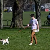 A man wearing a mask as a precautionary measure against covid-19 walks a dog on Clapham Common in south London on March 24