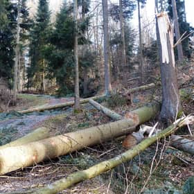 The Storm Arwen review set out 15 recommendations for the Scottish Government and its partners.
