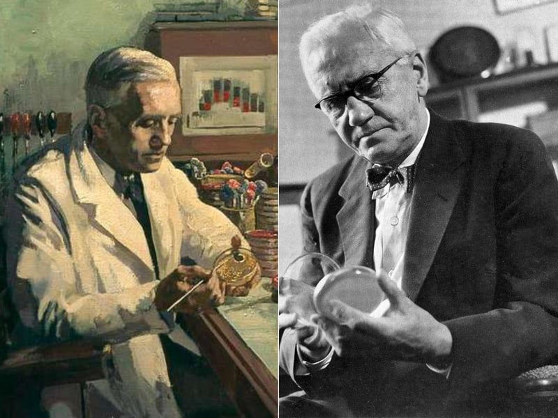 Fleming is the Scottish physician who is credited with discovering penicillin. After isolating a mould and noting it belonged to the Penicillium genus, he collected a mould extract and named the active agent “penicillin”. This led to the discovery of its antibacterial properties against gram-positive pathogens. Many estimate that penicillin has saved at least 200 million lives since it was first used in medicine in the 1940s.