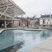 The ponds at the Scottish Parliament have seen a lot of falls over the years